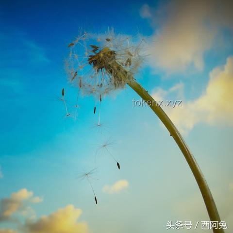 探索行业边际：去了一趟“世界尽头”的启示